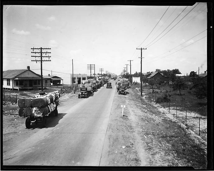 Vintage Photographs > SOUTHERN COTTON OIL COMPANY, PENSACOLA, FLA