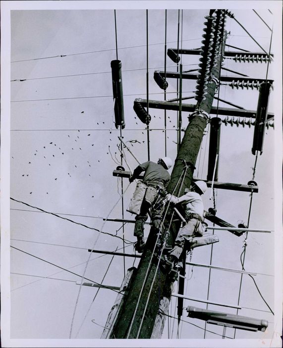 Vintage Photographs Electric Utility Linemen Repairing Crossarm On